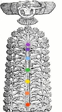 Posizione dei chakra